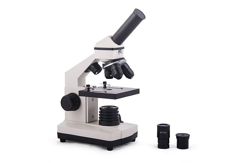 Микроскоп - прибор для изучения растений