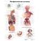 Медицинский плакат Лимфатическая система