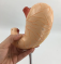 Анатомическая модель натурального большого желудка UL-V50