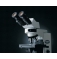 Флуоресцентный (люминесцентный) микроскоп на базе прямого микроскопа серии CX2