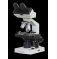 Бинокулярный микроскоп MX 10 (Bino)