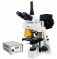 Микроскоп люминесцентный Velvi 146BM