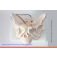 Модель женского таза со съемным детским черепом UL-127