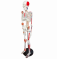 85 см медицинская модель скелета человека с нейроваскулярной моделью для обучения UL-102C-1