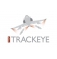 ПО для анализа перемещений в военной промышленности Программное обеспечение TrackEye