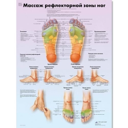 Медицинский плакат Массаж рефлекторных зон стопы