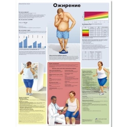 Медицинский плакат Ожирение