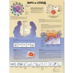 Медицинский плакат ВИЧ и СПИД