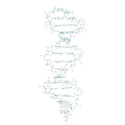 Модель ДНК Minit Proview