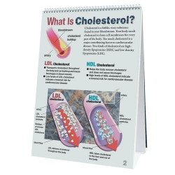 Откидной плакат по холестерину