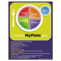 Отрывной блокнот подкладок «MyPlate» с советами по пищевым группам, малый