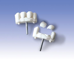 Передние зубы, доп. комплектация для W30508