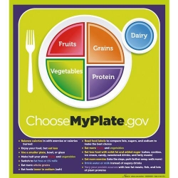 Плакат «MyPlate» с ключевыми фразами