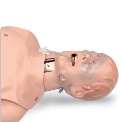 Сменные легкие и желудок, для тренажера для действий на дыхательных путях в критических состояниях W99836, 3 упаковки