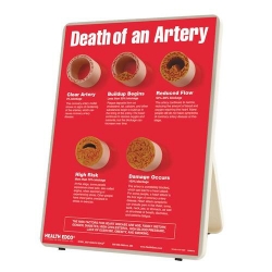 Стенд по тематике: смерть артерий