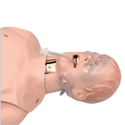 Тренажер для действий на дыхательных путях в критических состояниях