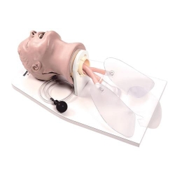 Тренажер Life/form® «Airway Larry» для освоения навыков восстановления проходимости дыхательных путей со штативом