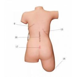 Модель перевязки швов на человеке UL