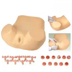 Усовершенствованный тренажер для обучения гинекологическому осмотру Пальпация матки  UL-F3