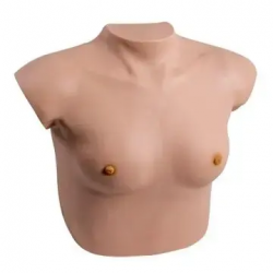 Симулятор женского осмотра и пальпации груди Модель самообследования для женщин Скрининг здоровья груди UL-F9A