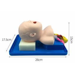 Модель обучения интубации трахеи у младенцев UL