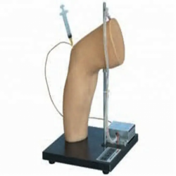 Модель впрыски полости локтевого сустава человека высокого качества PVC для медицинского обучения  UL-HE