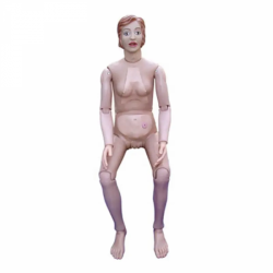 Модель кормления, Модель женского пациента UL-401