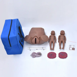 Медицинская и обучающая модель для женщин, модель скрининга шейки матки и модель обучения родов плода UL-F20