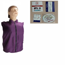 Медицинская научная модель бюста, профессиональный симулятор первой помощи, модель для обучения сердечно-легочной реанимации UL-