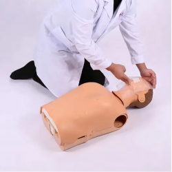 Медицинская образовательная модель Тренировка сердечно-легочной реанимации UL-404B
