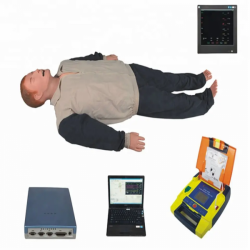 Модель CPR для преподавания медицинских наук UL-HE