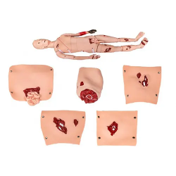 Медицинский тренажер-травматологический манекен для обучения  UL-HE