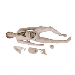 Высококачественная обучающая кукла медсестры (женщина) для медицинского обучения, анатомическая модель человеческого тела UL-401