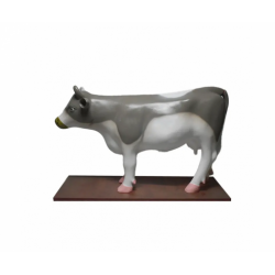 Анатомическая модель коровы