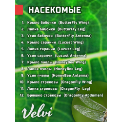 Микропрепараты для микроскопа Velvi Kids 48