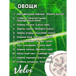 Микропрепараты для микроскопа Velvi Kids 48