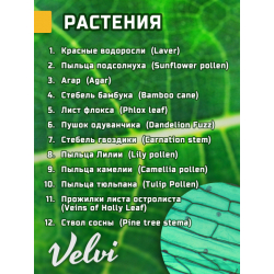 Микропрепараты для микроскопа Velvi Kids 48