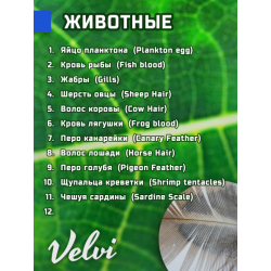 Микропрепараты для микроскопа Velvi Kids 48