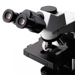 Микроскоп Olympus CX31 бинокулярный с левосторонним препаратоводителем