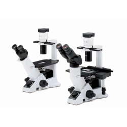 Флуоресцентный (люминесцентный) микроскоп отраженного света на основе инвертированного микроскопа CKX31 и СKX41