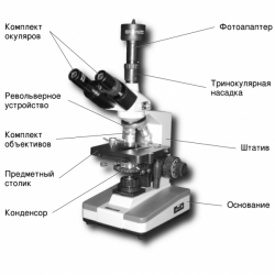 Микроскоп Биомед-4 Ф.К.