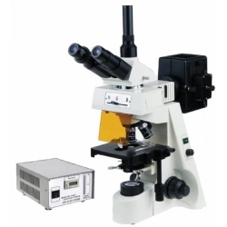 Микроскоп люминесцентный Velvi 146BM