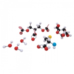 Сборная модель молекулы Organik D, molymod®