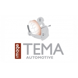 ПО для анализа движений в автомобильной промышленности Программное обеспечение TEMA Automotive