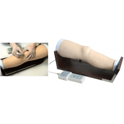 Продвинутый электронный симулятор внутрисуставной инъекции в коленный сустав